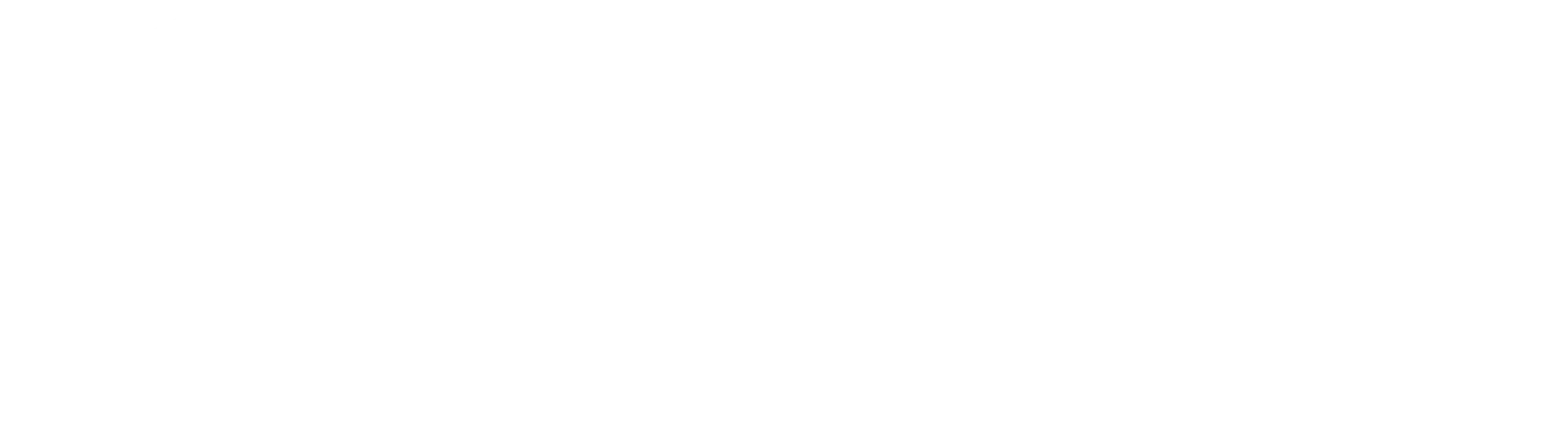 VeloceSpark